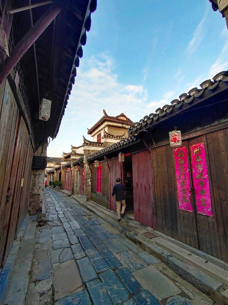 老人花28年种出9层楼高三角梅，是什么让老人坚持28年种花？游戏画面